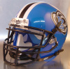 Lake Zurich Bears HS 2013-2014